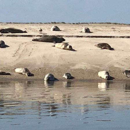 Trekvogels Hoern Apartment Dornum Bagian luar foto