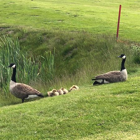 Trekvogels Hoern Apartment Dornum Bagian luar foto