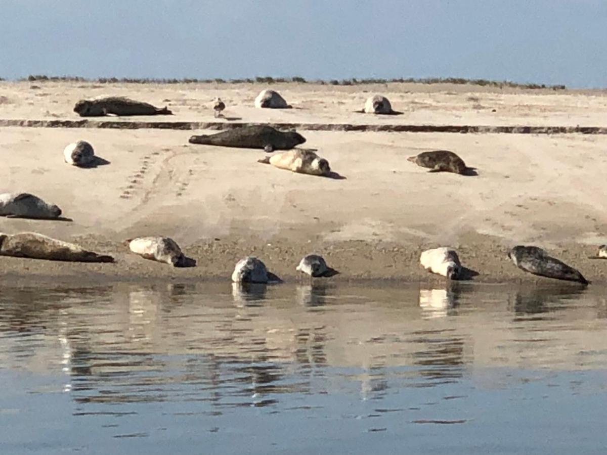 Trekvogels Hoern Apartment Dornum Bagian luar foto