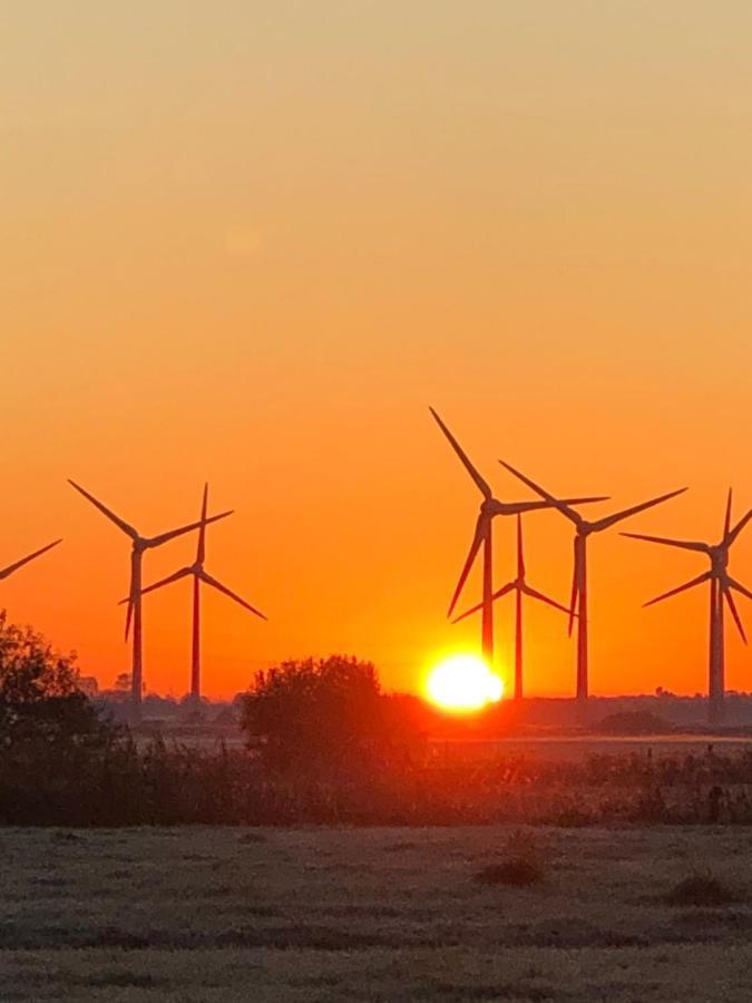 Trekvogels Hoern Apartment Dornum Bagian luar foto