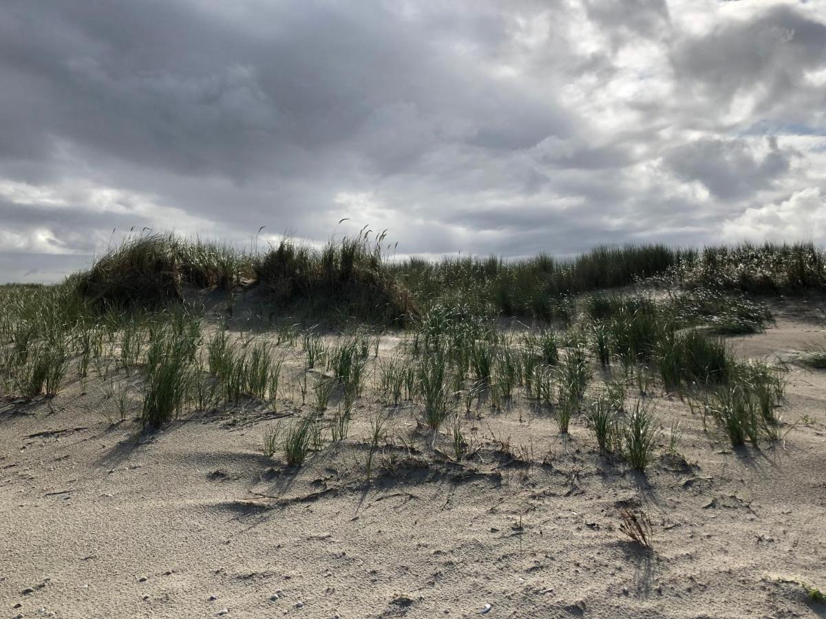 Trekvogels Hoern Apartment Dornum Bagian luar foto